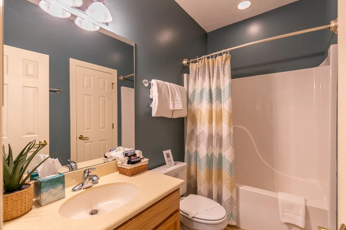 A bright and peaceful bathroom scene with a well-placed mirror, sink, shower curtain, and green plant. The overall feel is refreshing and welcoming, perfect for a restorative start or end to a day in the mountains.